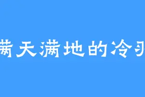 满天满地的冷羽