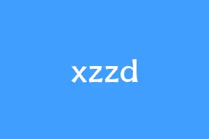 xzzd