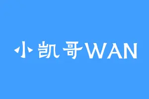 小凯哥WAN