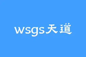 wsgs天道
