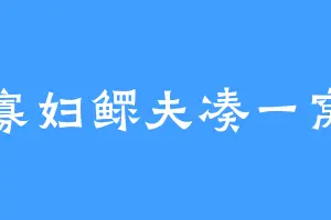 寡妇鳏夫凑一窝