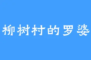 小柳树村的罗婆婆