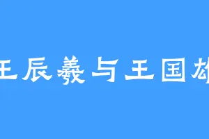 王辰羲与王国雄