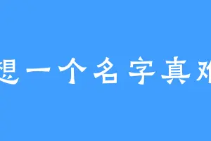 想一个名字真难