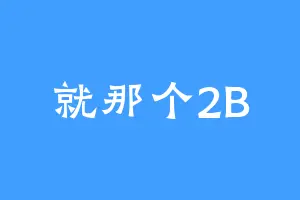 就那个2B