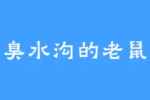 臭水沟的老鼠