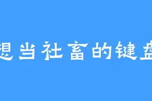 不想当社畜的键盘侠