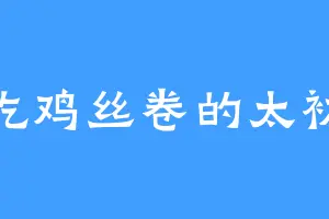爱吃鸡丝卷的太初瑶