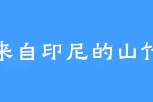 来自印尼的山竹