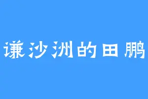敦谦沙洲的田鹏飞