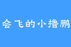 会飞的小撸鹏