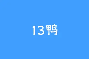 13鸭