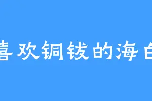 喜欢铜钹的海白