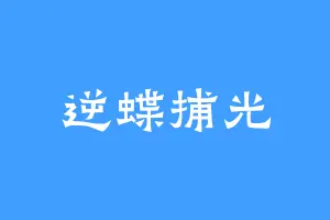 逆蝶捕光