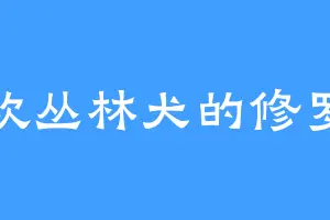 喜欢丛林犬的修罗丹