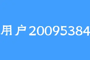 用户20095384