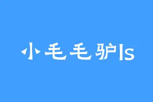 小毛毛驴ls