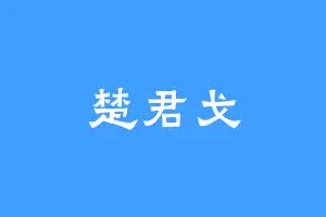 楚君戈